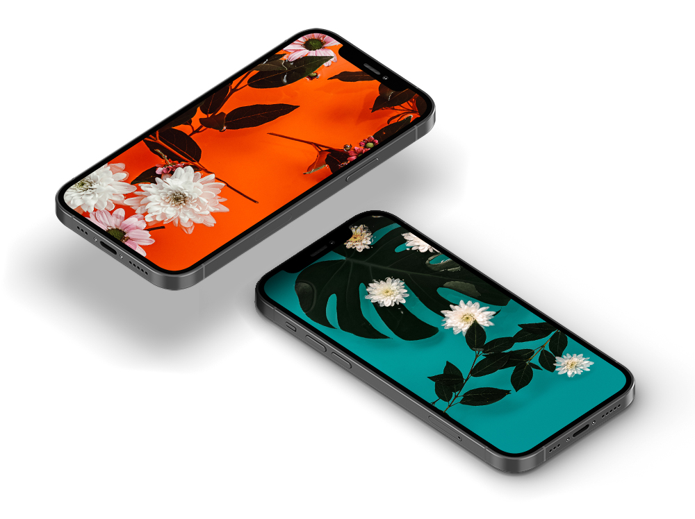 iPhone-wallpaper-flowers-art-graphic-fotografie-nikki-segers-bloemen